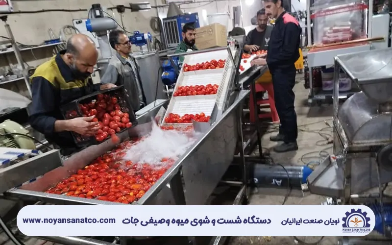 دستگاه شستشوی میوه و صیفی جات