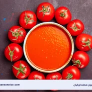 خط تولید رب گوجهفرنگی نویان صنعت شامل دستگاههای شستشو، خردکن، تغلیظ و بستهبندی با قیمت مناسب برای کارگاههای کوچک و تولید فله.