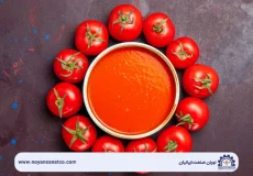 خط تولید رب گوجه‌فرنگی نویان صنعت شامل دستگاه‌های شستشو، خردکن، تغلیظ و بسته‌بندی با قیمت مناسب برای کارگاه‌های کوچک و تولید فله.