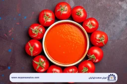 خط تولید رب گوجه‌فرنگی نویان صنعت شامل دستگاه‌های شستشو، خردکن، تغلیظ و بسته‌بندی با قیمت مناسب برای کارگاه‌های کوچک و تولید فله.