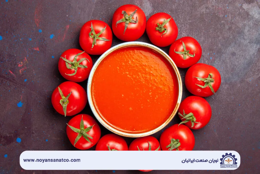 خط تولید رب گوجه‌فرنگی نویان صنعت شامل دستگاه‌های شستشو، خردکن، تغلیظ و بسته‌بندی با قیمت مناسب برای کارگاه‌های کوچک و تولید فله.