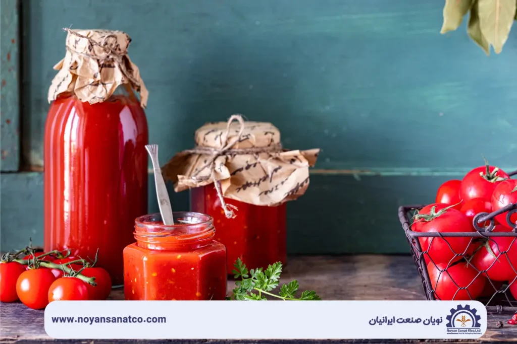 خط تولید رب گوجه‌فرنگی صنعتی از مرحله شست‌وشو تا بسته‌بندی با تجهیزات استیل